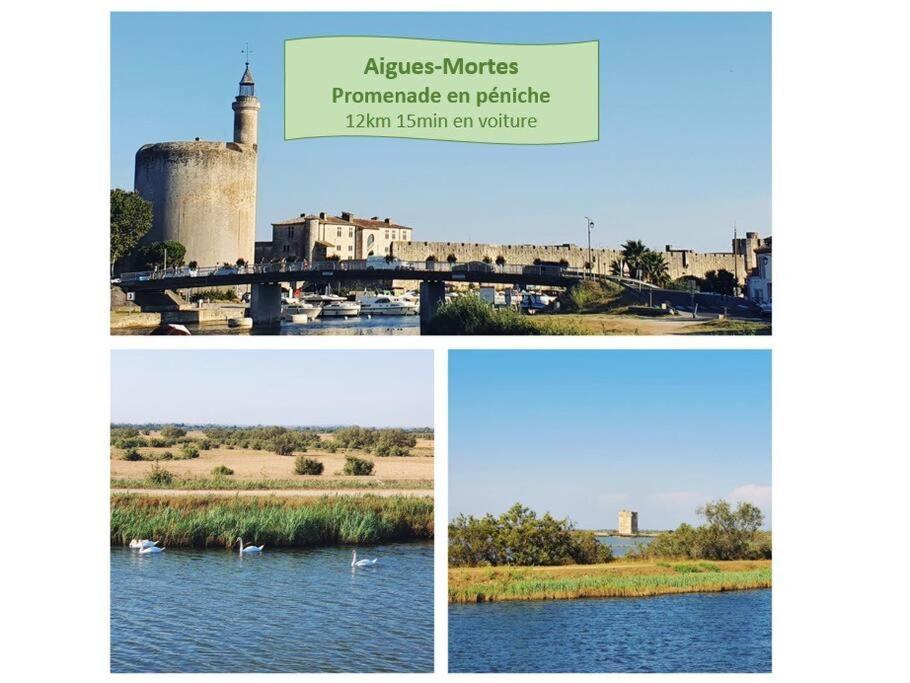 Maya Parking Clim Wifi Centre-ville Et Port - Rossiconciergerie - Linge Inclus *